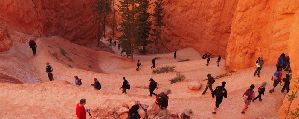 Geology Students at Bryce Canyon